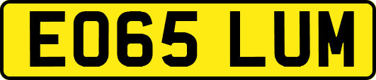 EO65LUM