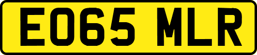 EO65MLR