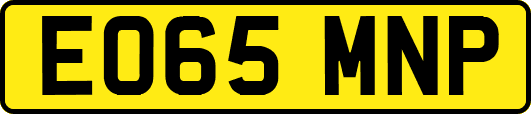 EO65MNP