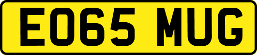 EO65MUG