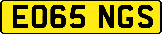 EO65NGS