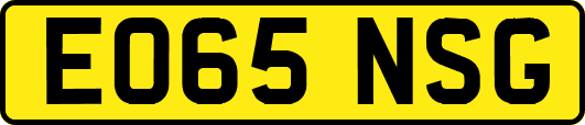EO65NSG