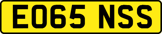 EO65NSS