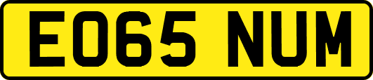 EO65NUM