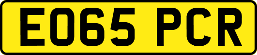 EO65PCR