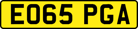 EO65PGA