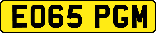 EO65PGM