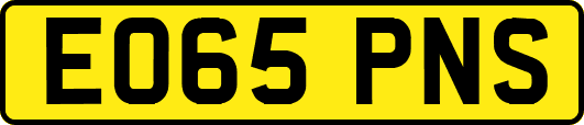 EO65PNS