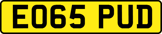 EO65PUD