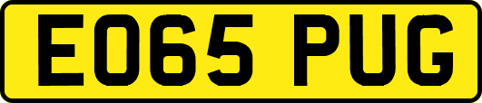 EO65PUG