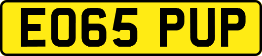 EO65PUP