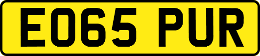 EO65PUR