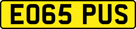 EO65PUS