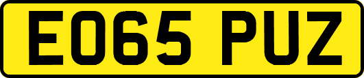 EO65PUZ