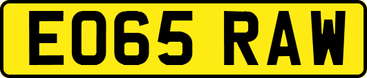 EO65RAW