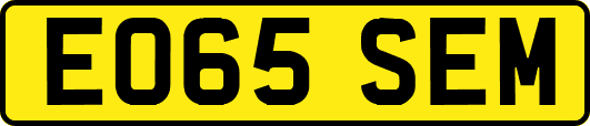EO65SEM