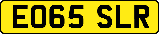 EO65SLR