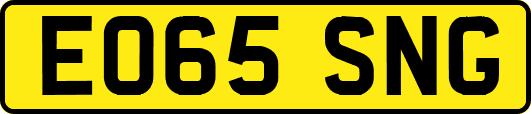 EO65SNG