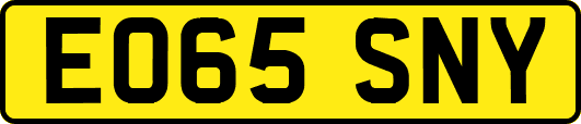 EO65SNY