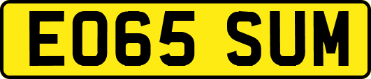 EO65SUM