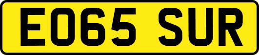 EO65SUR