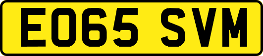 EO65SVM