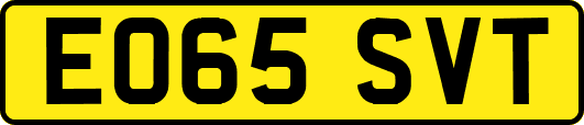 EO65SVT