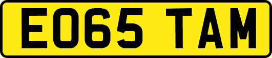 EO65TAM