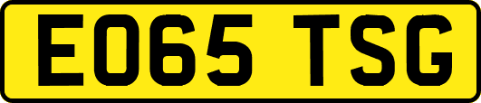 EO65TSG