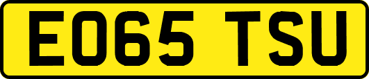 EO65TSU