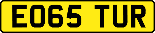 EO65TUR