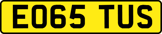 EO65TUS