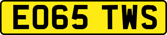 EO65TWS
