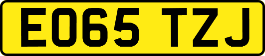 EO65TZJ