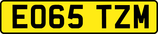 EO65TZM