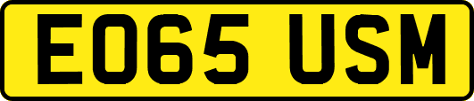 EO65USM