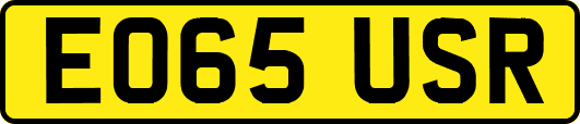 EO65USR