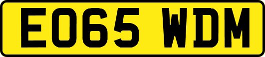 EO65WDM
