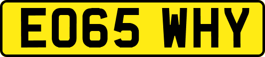 EO65WHY
