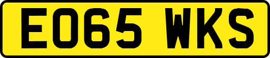 EO65WKS