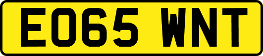 EO65WNT