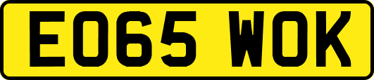 EO65WOK
