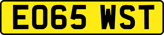 EO65WST