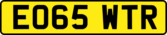 EO65WTR