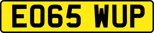 EO65WUP