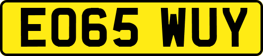 EO65WUY