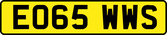 EO65WWS