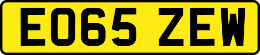 EO65ZEW