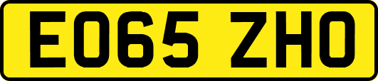 EO65ZHO
