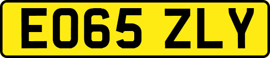 EO65ZLY